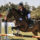 Marie Oteiza équitation Le Caire WC1
